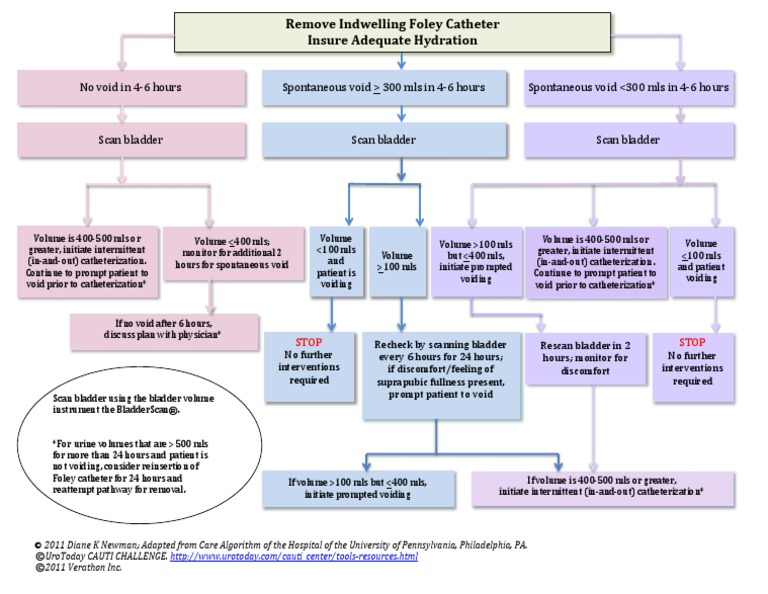 Foly Catheter Removal Protocol | PDF | Medical Specialties | Clinical ...