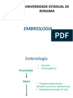 Embriologia Anexos