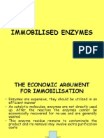 Imobilized Enzyme