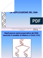 2 La Replicazione Del Dna Genetica Agraria Uniss