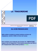 4 La Trascrizione Genetica Agraria Uniss