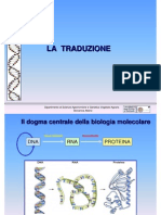 6 La Traduzione genetica agraria uniss