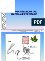 8 Lorganizzazione Del Materiale Ereditario genetica agraria uniss