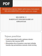 Download Penerapan Bionutrien Kpd Pada Tanaman Selada Keriting  by Ian Cantona SN110619162 doc pdf