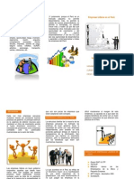 Triptico de Sociologia. Las Empresas Lideres en El Peru