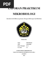 Download LAPORAN PRAKTIKUM 4 mikrobiologi uji biokimia by Rifa Rizkiyah M SN110646392 doc pdf