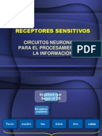 Circuitos Neuronales para El Procesamiento de La Información