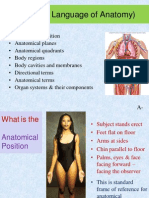 1.1 AP 1 Lab Language of Anatomy