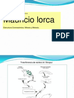 Cromosomas y ADN