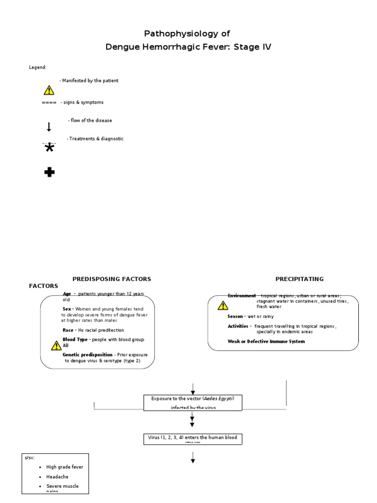 Pathophysiology of Dengue Hemorrhagic Fever | PDF | Bleeding | Anatomy