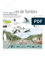 Manglares de Tumbes