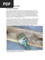 Download Pallets by samuca300 SN110706736 doc pdf