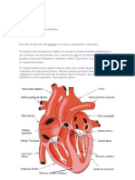 Tec - Muscular Estriado Cardíaco - Resumo