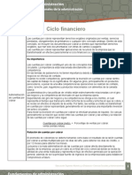 3.3.4. Ciclo Financiero