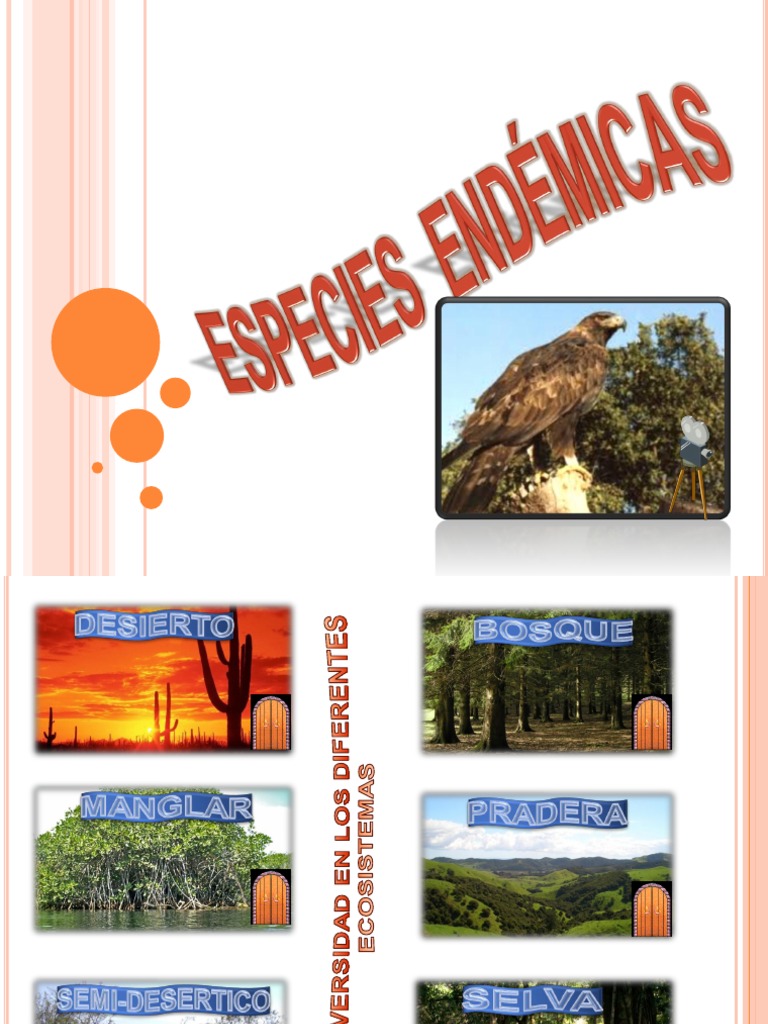 Especies Endemicas Servicios De Ecosistema Mexico