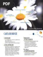 Sdb Carta Servizi