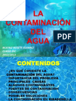 Contaminacion Agua