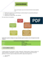 CARCINOGÊNESE - Resumo