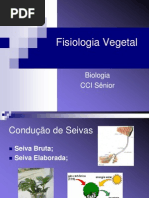 condução e fotossíntese