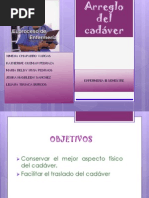 Posición de Roser o Proetz | PDF | Inflamación | Biología Celular)