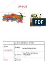 Lípidos: clasificación, ácidos grasos y propiedades