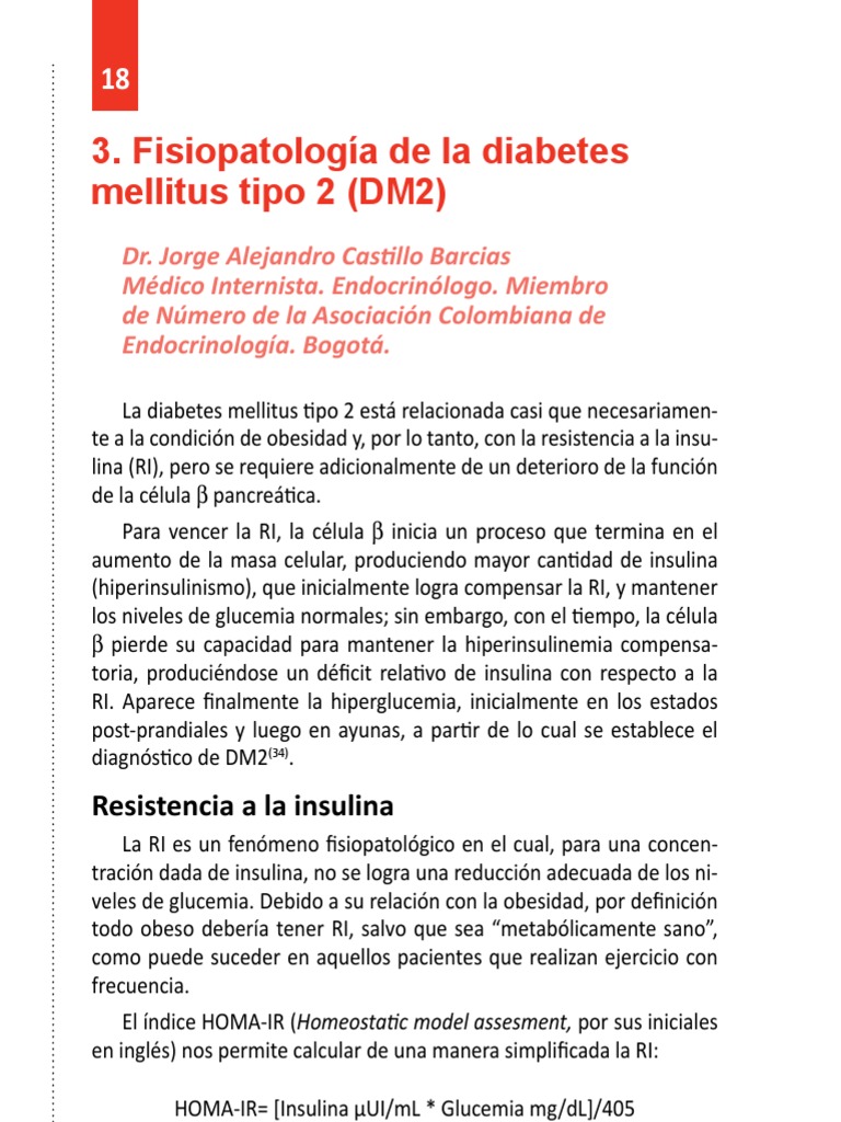 Fisiopatologia de La Diabetes Mellitus Tipo 2 J Castillo | PDF ...