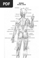 Download Marmas by Purushottam Deshpande SN110864784 doc pdf