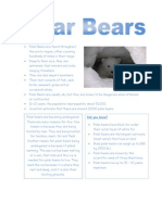 Polar Bears Fact File