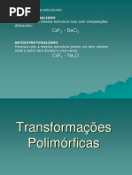 Area1-Transformacoes_polimorficas