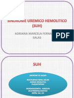 Infecciones asociadas al síndrome urémico hemolítico