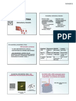 Citogenetica Clase 1