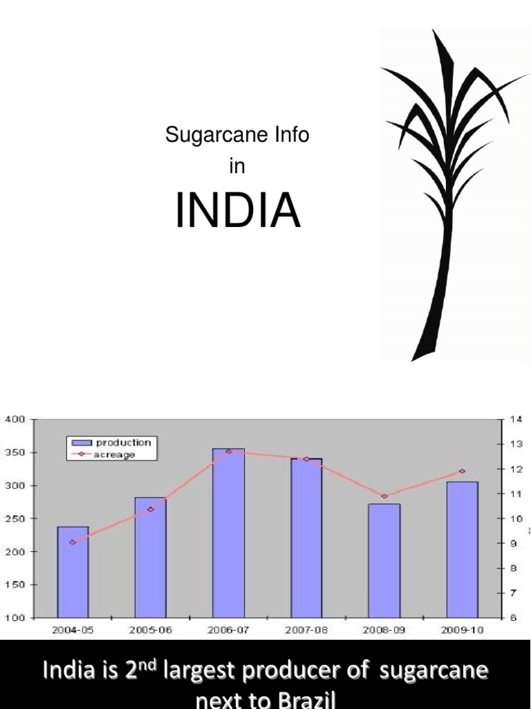 Sugarcane Production and Industry in India | PDF | Sugarcane | Land ...