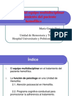 Importancia equipo multidisciplinar en  hemofilia. Doña Maria Garcia ( INFOHEMO 2012) 24.10.12