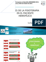 Bases de la fisioterapia en paciente hemofilico. Dra Sofia Pérez (INFOHEMO 2012) 24.10.12