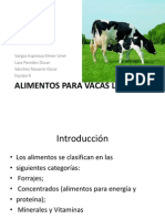 Alimentos para Vacas Lecheras