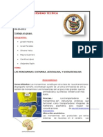 Trabajo de Neurotranmisores Uta Martes