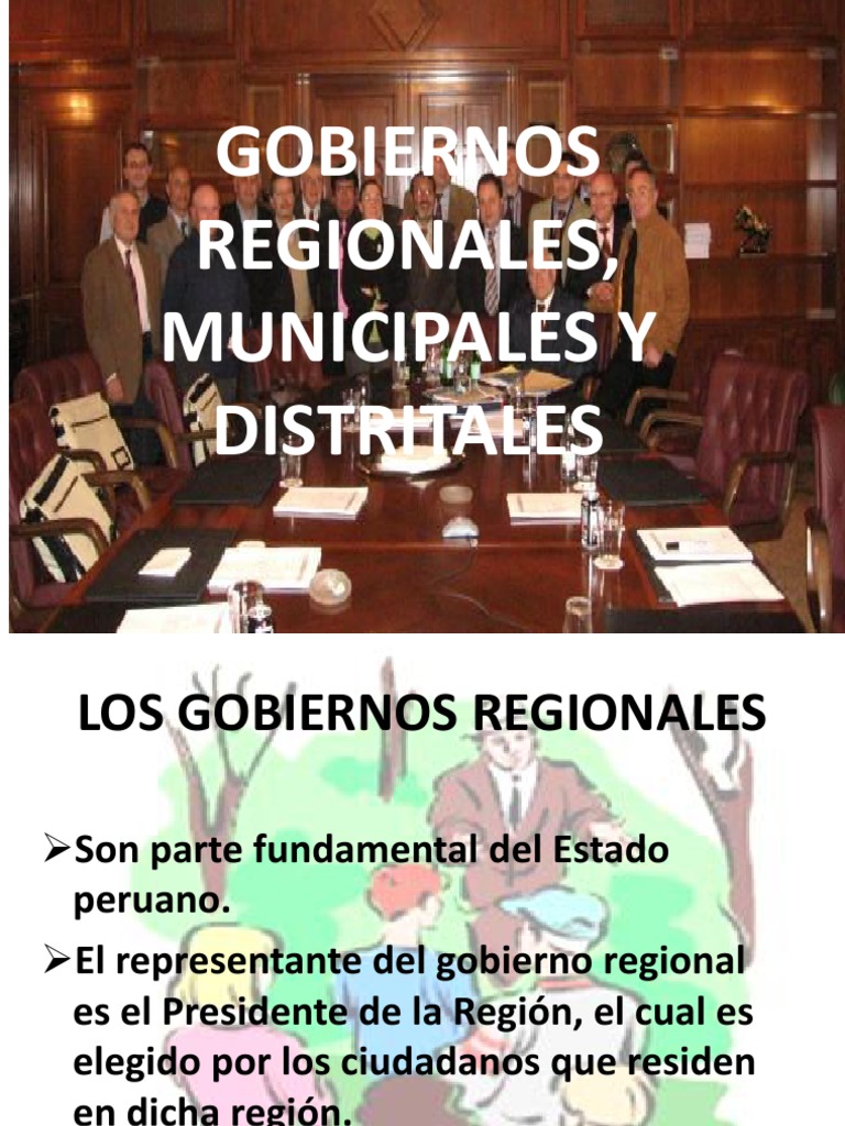 Funciones de Gobiernos Regionales y Locales | PDF