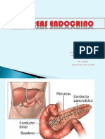 Pancreas End Ocr i No