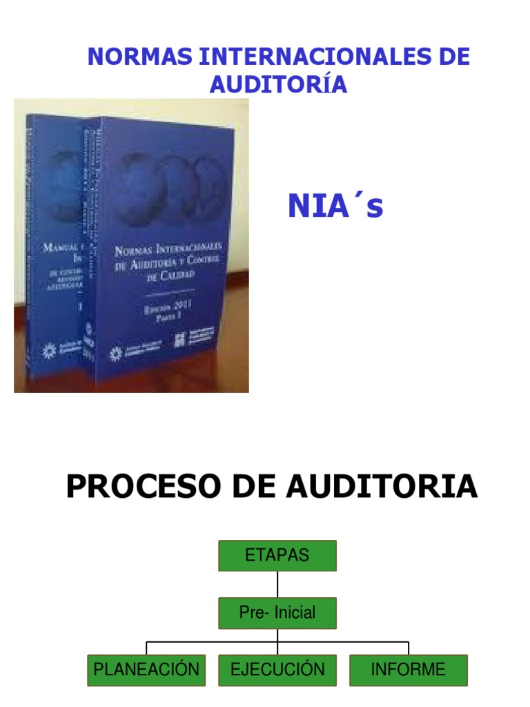 Etapas y Normas de Auditoría NIA | PDF | Auditoría financiera | Contralor