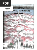 Educ_Amb_Implantação _no_Brasil