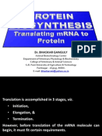 Protein Biosynthesis