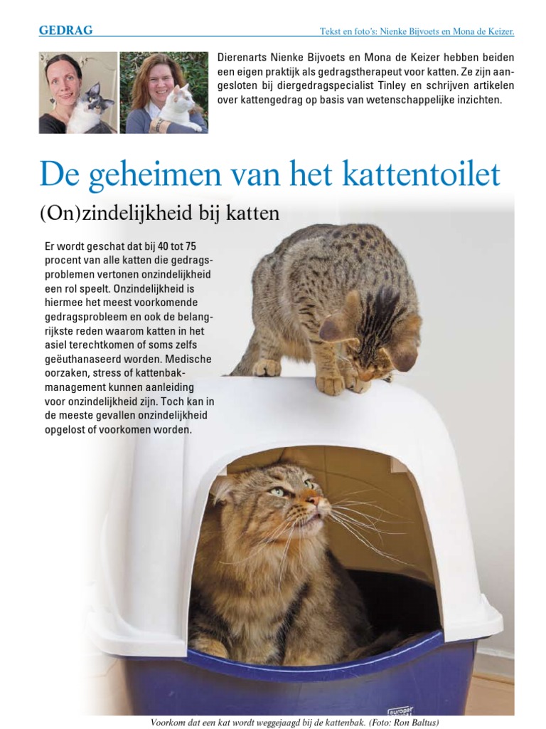 Kattenbak en kattenverzorging voor Katten: online dierenwinkel /  dierenspeciaalzaak!