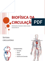 Circulacao