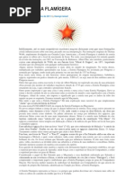A ESTRELA FLAMÍGERA