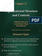  Organizational Structure Controls