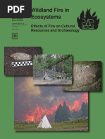 Effects of Fire On Cultural Resources and Archeology