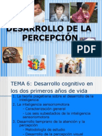 Desarrollo de La Percepción