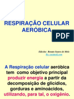 Respiração celular aeróbica.pptx