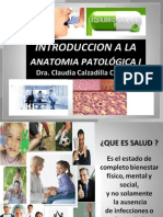 # 1 Introduccion A Anatomia Patologica