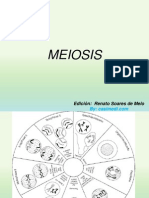 Meiosis.pptx